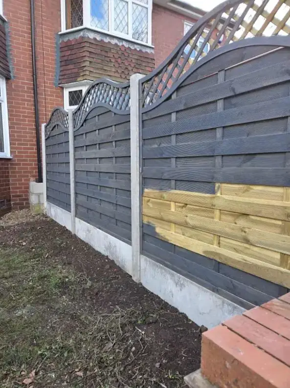 Clayton Garden Services | Gallery Images
