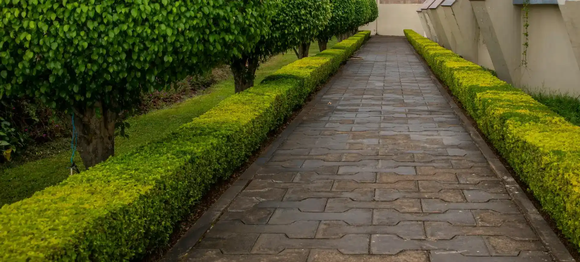 Clayton Garden Services