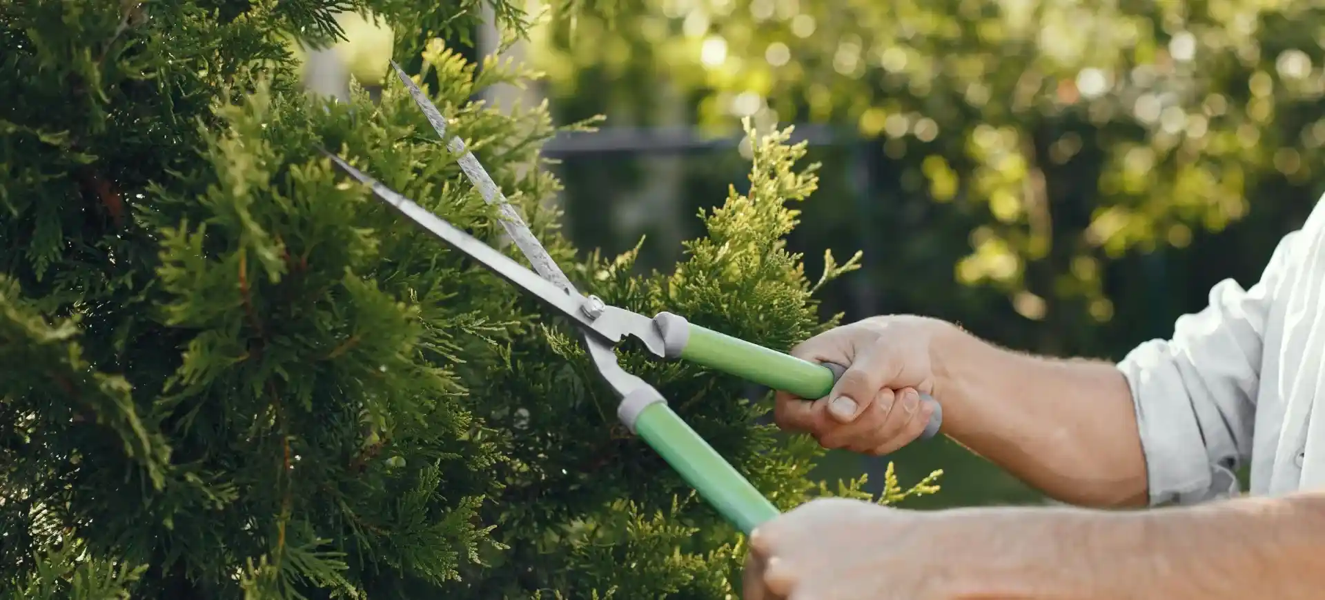 Clayton Garden Services