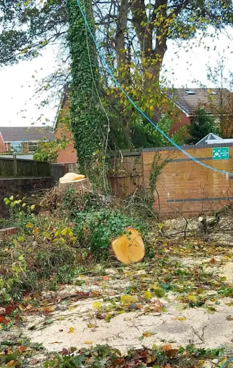 Gallery | Clayton Garden Services