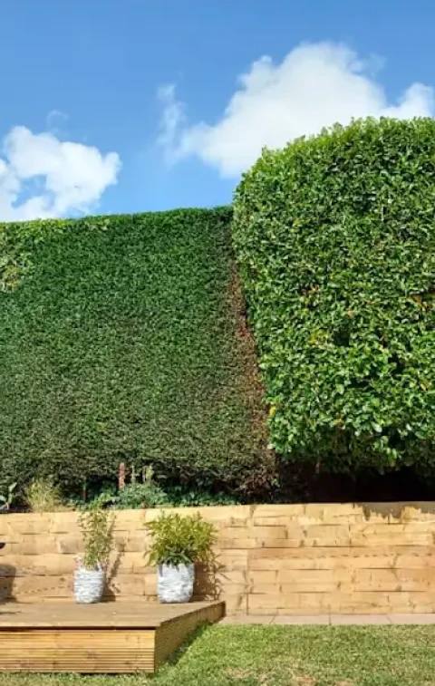 Gallery | Clayton Garden Services