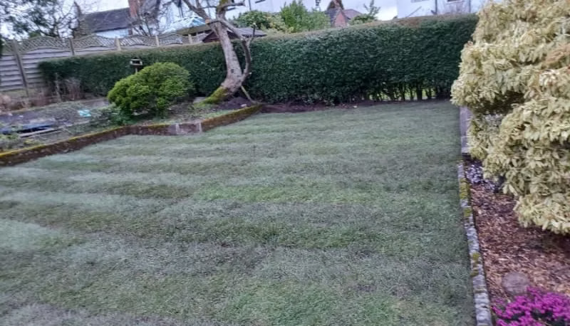 General Gardening